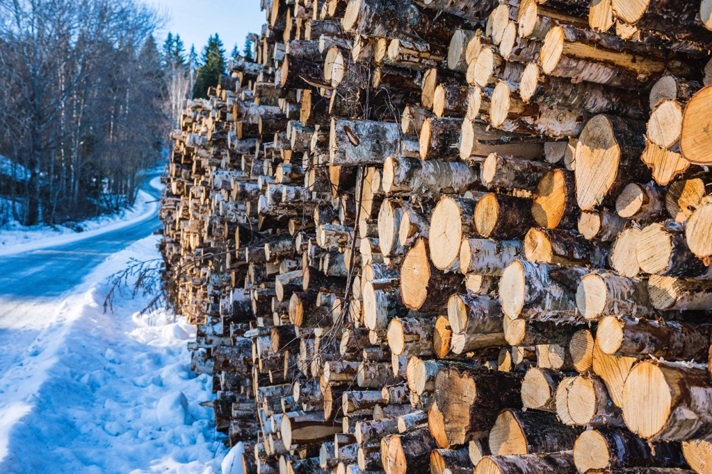 Kokkola Puunkaatoja Metsuri