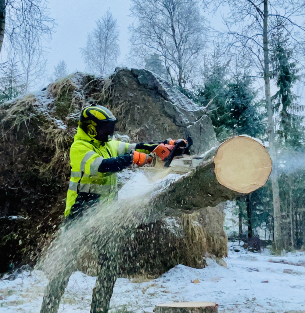 Metsuri Kokkola Kälviä Kannus